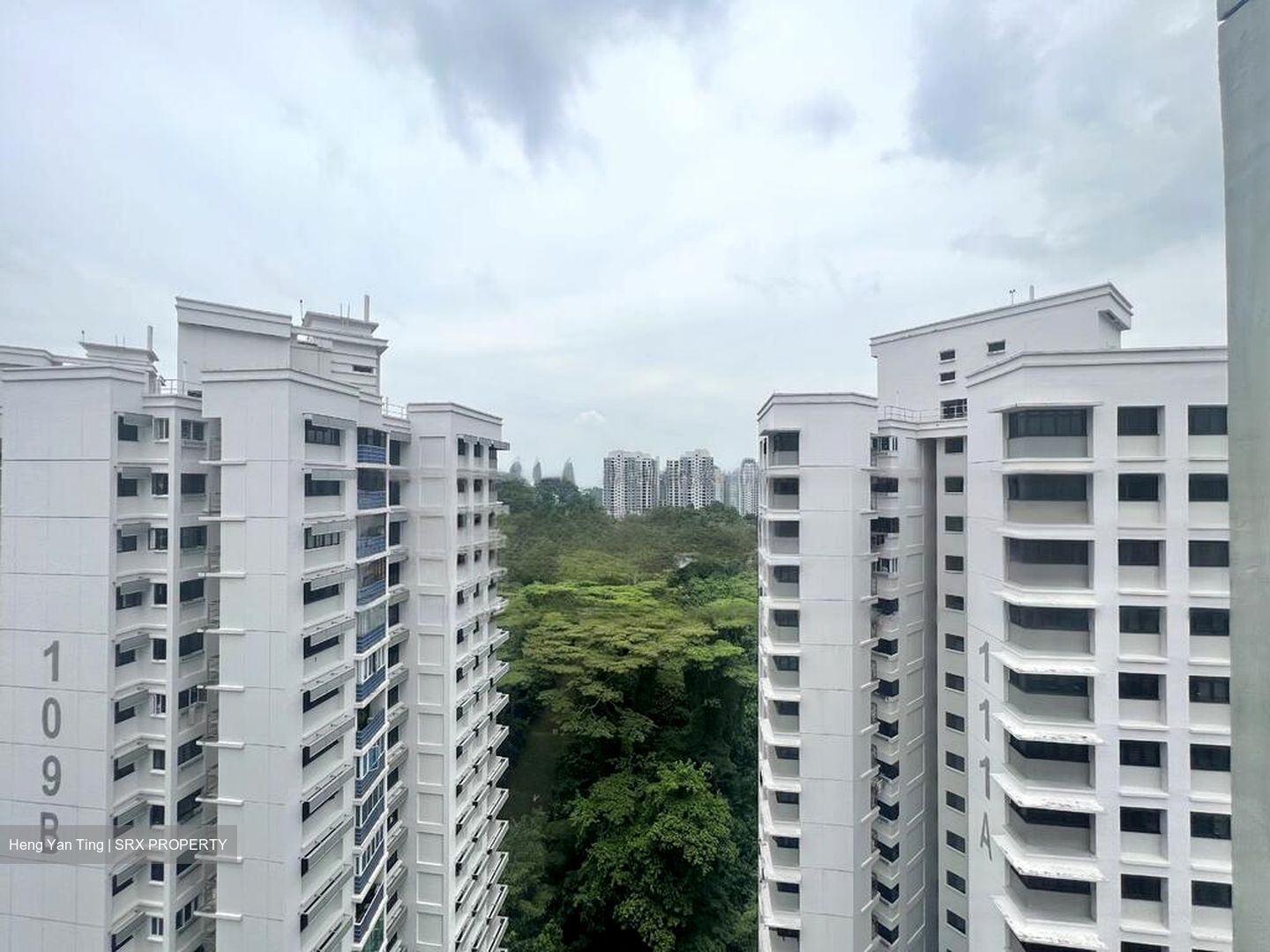 Blk 110A Depot Heights (Bukit Merah), HDB 4 Rooms #467611771